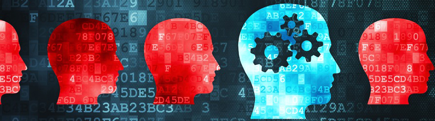 2015 Fellowship Program